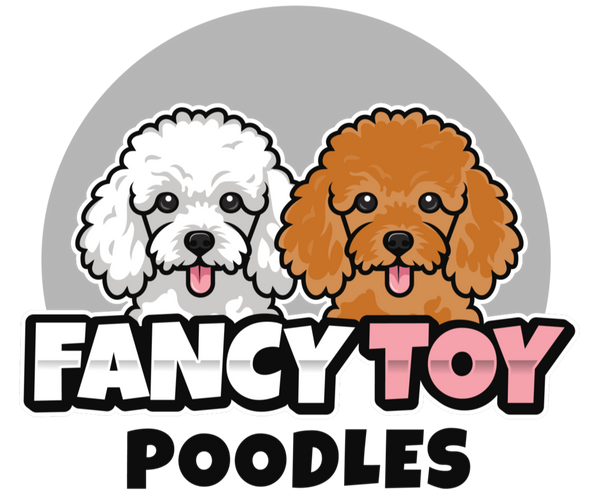 The Fancy Toy Poodle Store logo