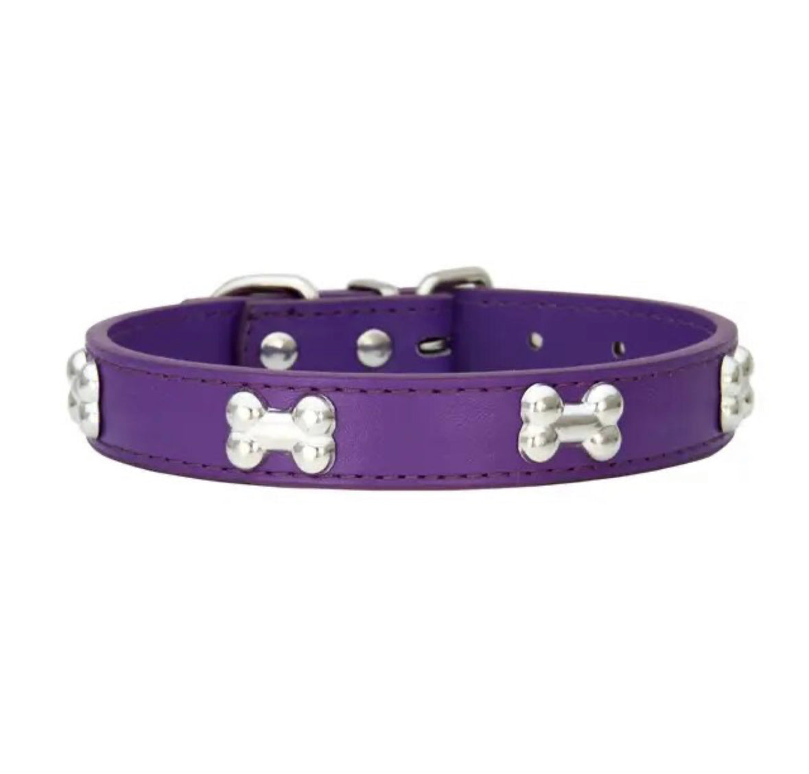 Designer Dog Collar
