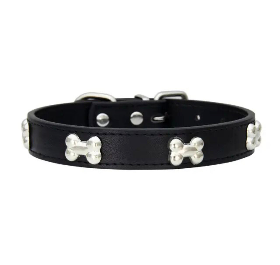 Designer Dog Collar