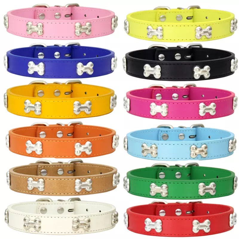 Designer Dog Collar