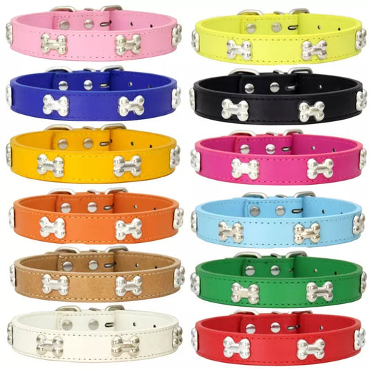Designer Dog Collar