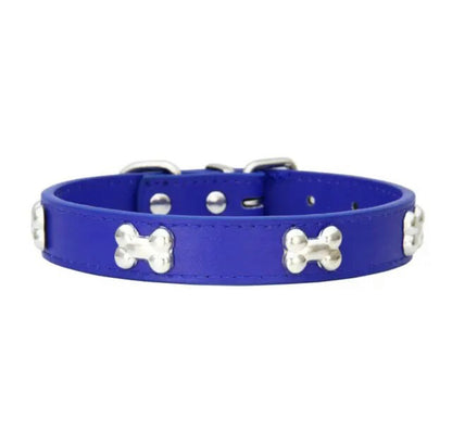Designer Dog Collar