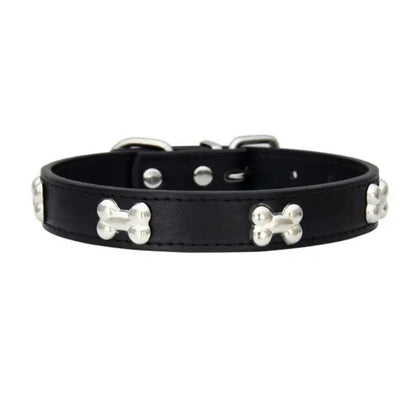 Designer Dog Collar