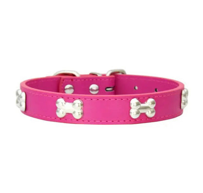Designer Dog Collar