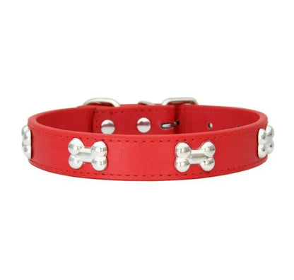 Designer Dog Collar