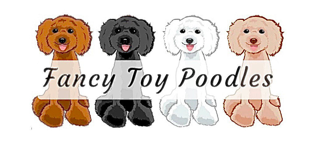 A Brand Brought To You By Fancy Toy Poodles!!! 