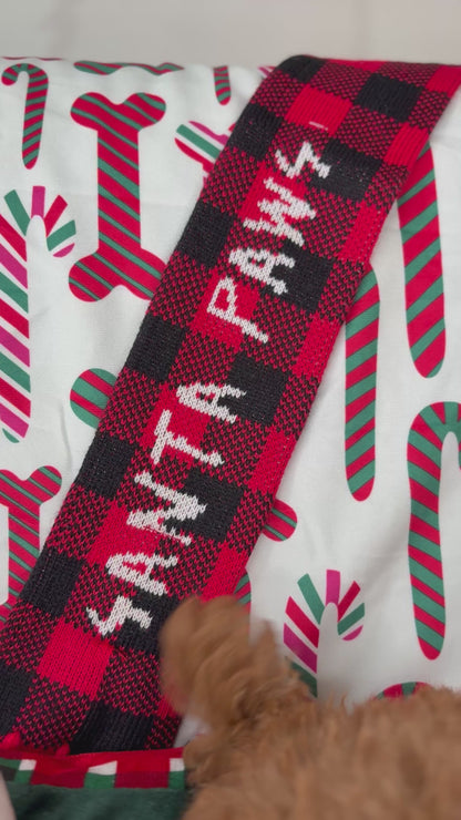 Red Female Toy Poodle 🐩 (Deposit Only‼️Please Read The Description Below‼️)