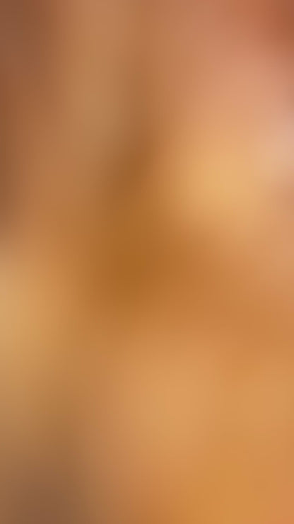 Dark Red Female Toy Poodle 🐩 (Deposit Only‼️Please Read The Description Below‼️)