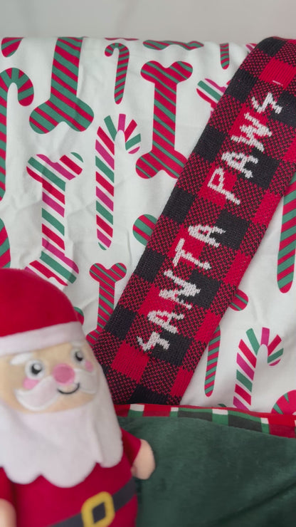 Red Male Toy Poodle (Deposit Only ‼️ Please Read DESCRIPTION Below‼️)